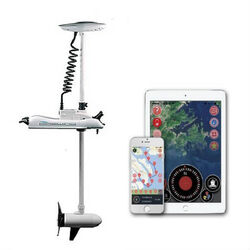 Haswing Cayman B 55lbs Trolling Motor 12V with GPS White