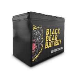 Black Bear Battery LiFePO4 100AH Battery with 20A Charger