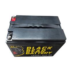 Black Bear Battery LiFePo4 50Ah Battery with 10A Charger