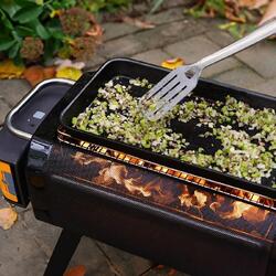 BioLite FirePit Griddle