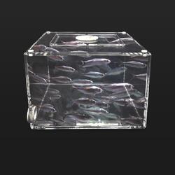 K2F Mullet Bait Trap 300X300