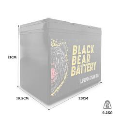 Black Bear Battery LiFePO4 100AH Battery with 20A Charger