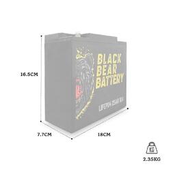 Black Bear Battery LiFePo4 25Ah Battery with 10A Charger