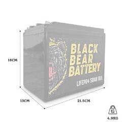 Black Bear Battery LiFePo4 50Ah Battery with 10A Charger